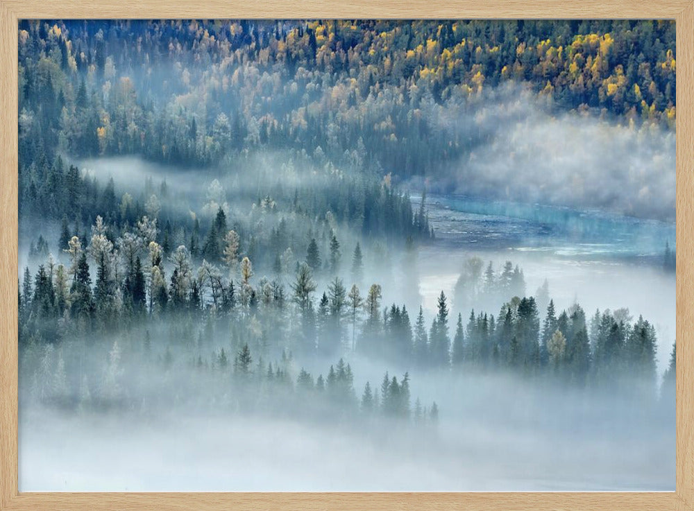 Magiska viken | Poster