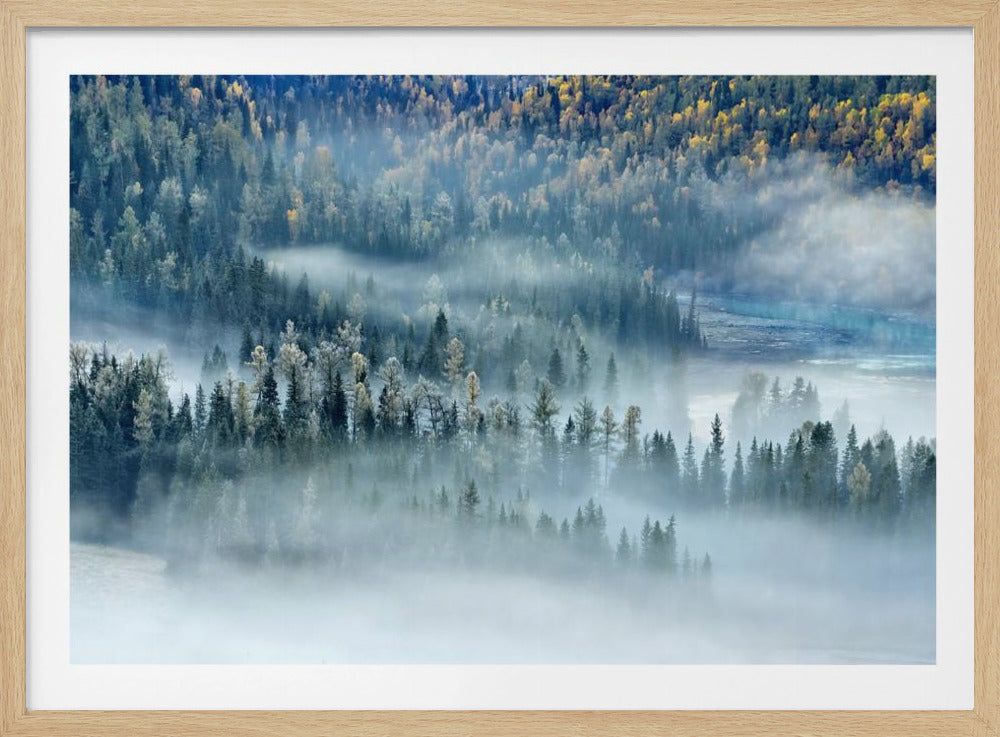 Magiska viken | Poster