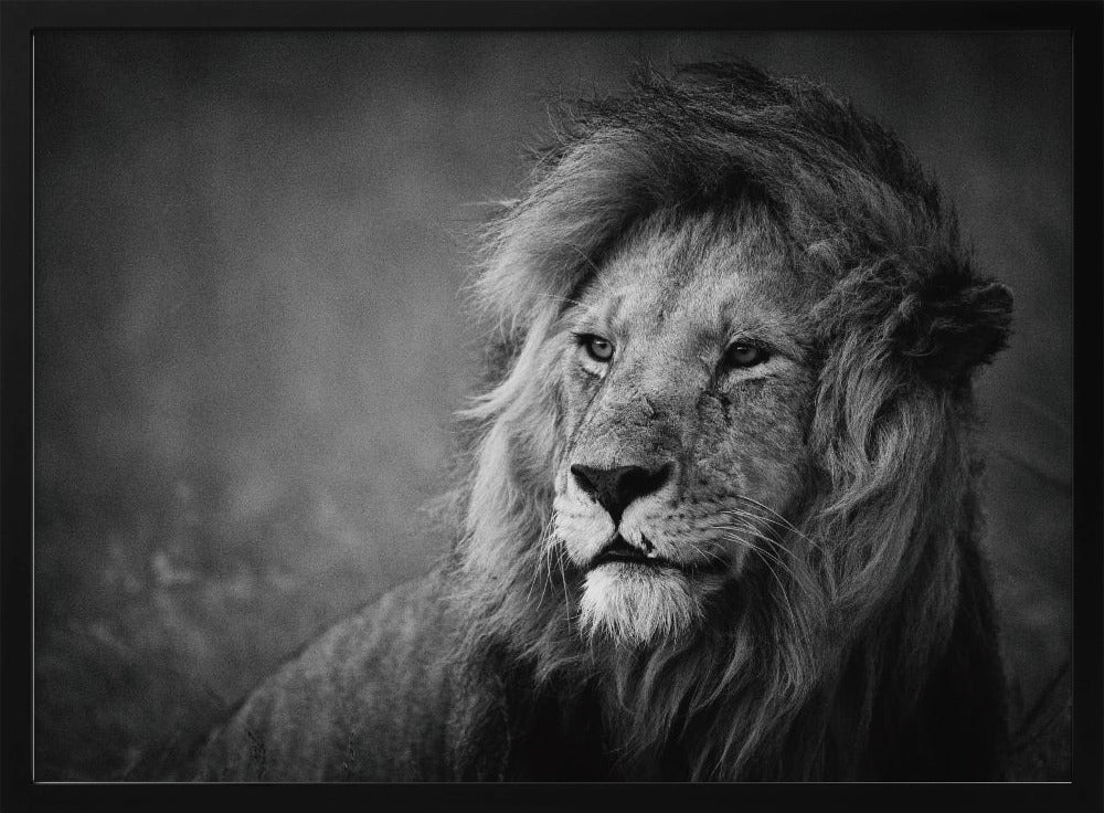Regal | Affisch