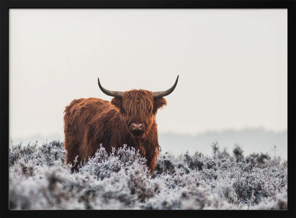 Highlander | Poster - Kunstdruck