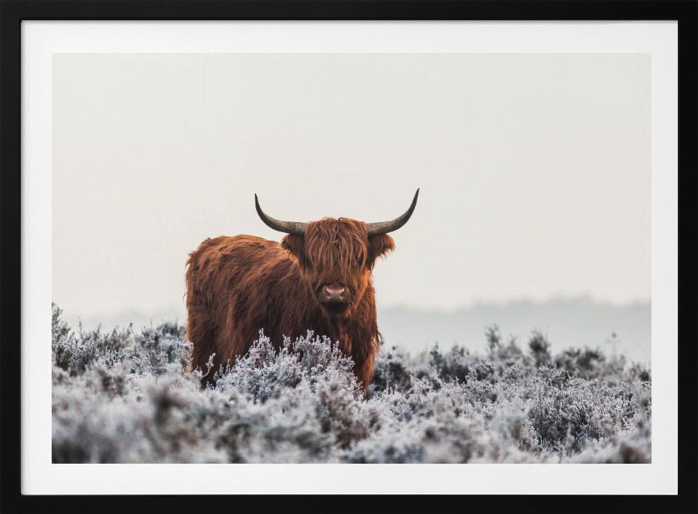 Highlander | Poster - Kunstdruck