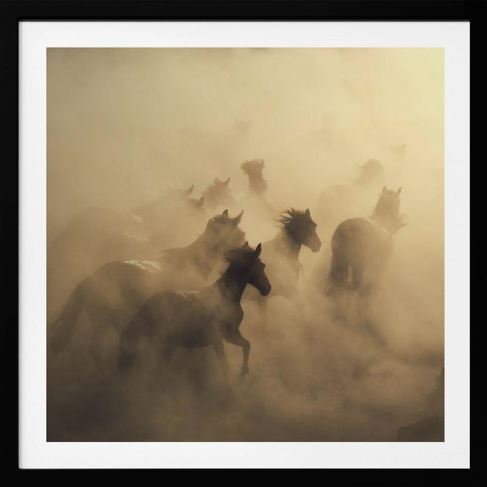 migration av hästar | Poster