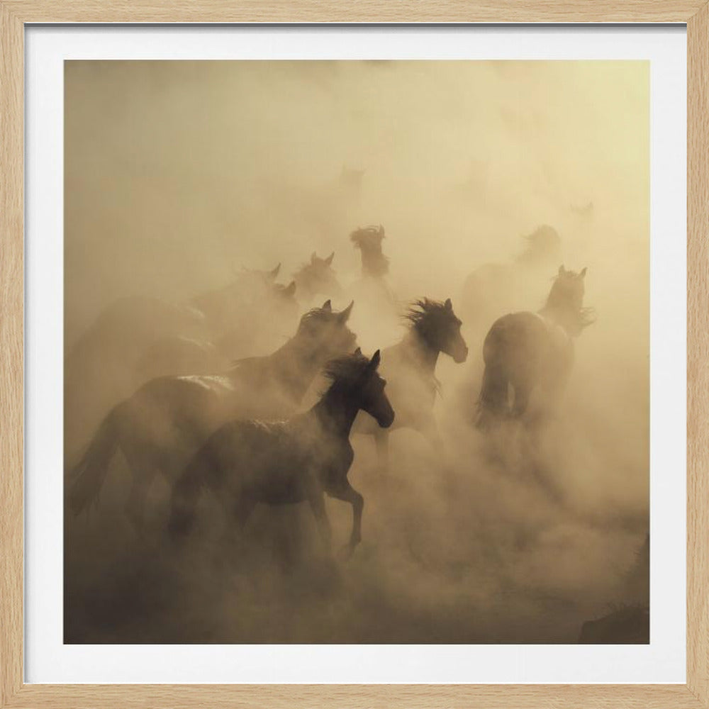 migration av hästar | Poster