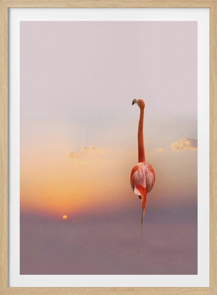 solnedgång ... | Poster