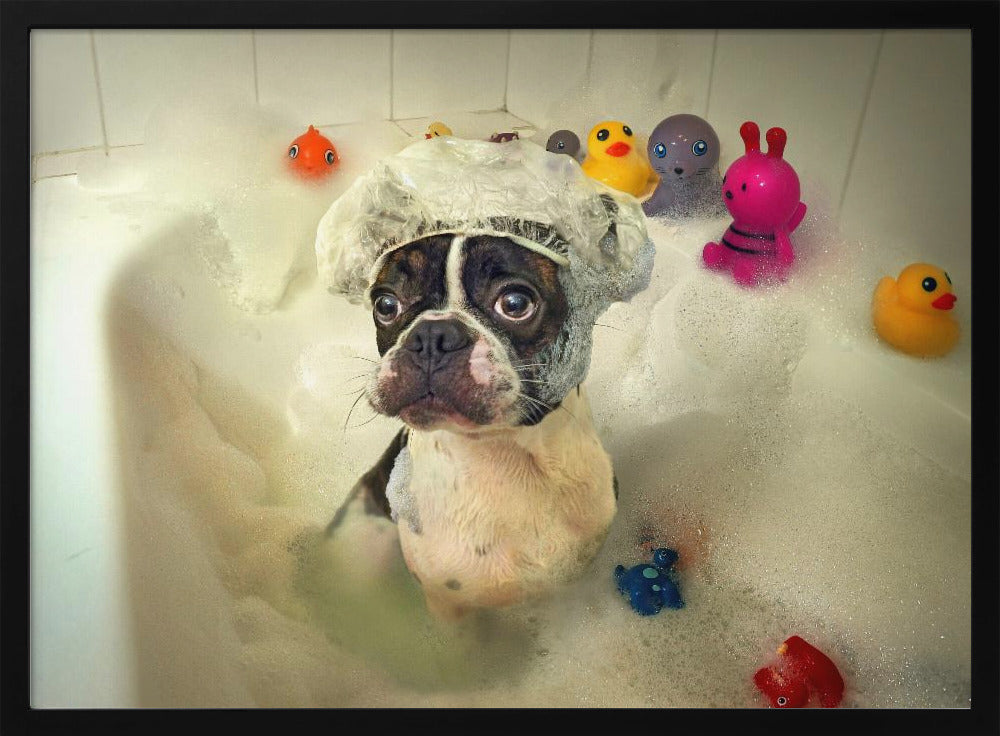 Badet | Poster