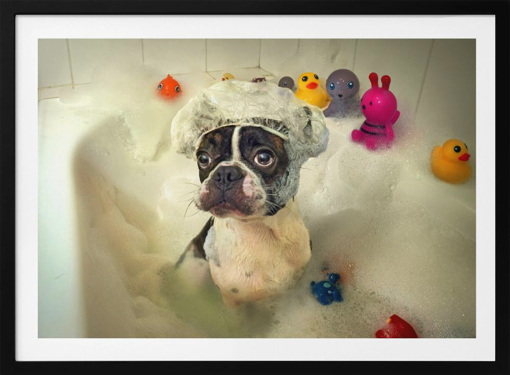 Badet | Poster