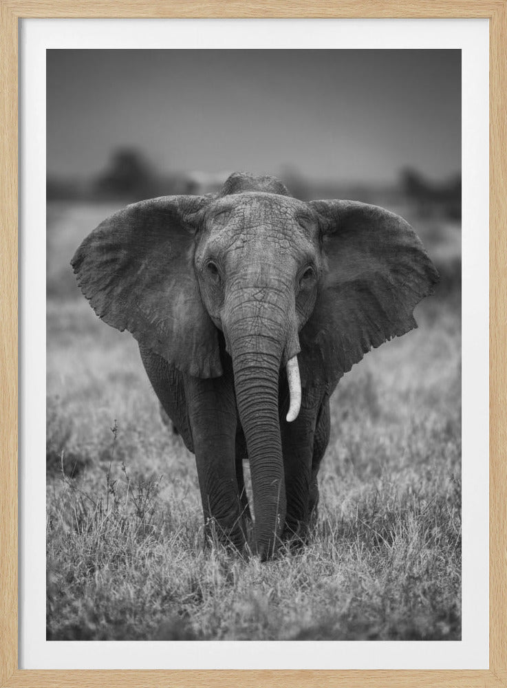 SINGULARITET | Poster