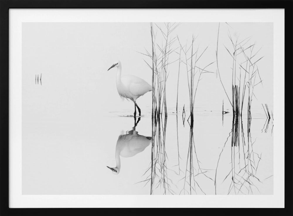 weiß | Poster - Kunstdruck