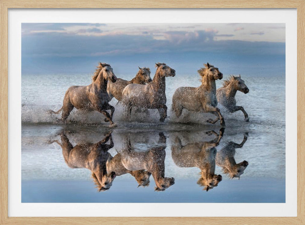 Hästar och reflektion | Poster