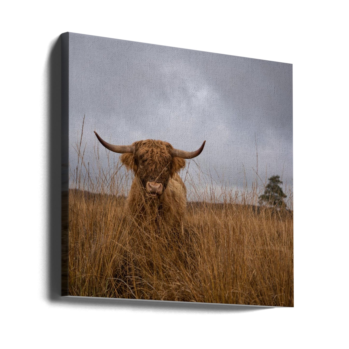 Det var inte jag | Canvas