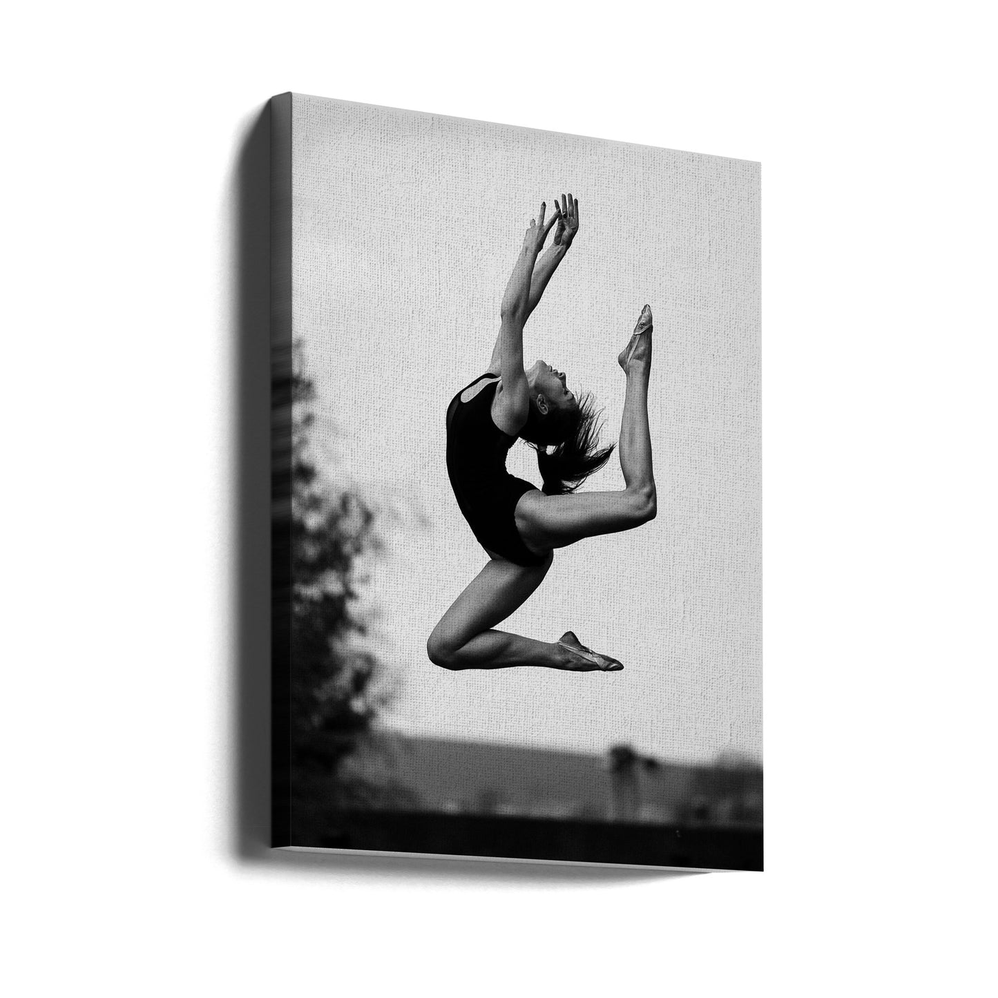 Danza | Stampe su Tela