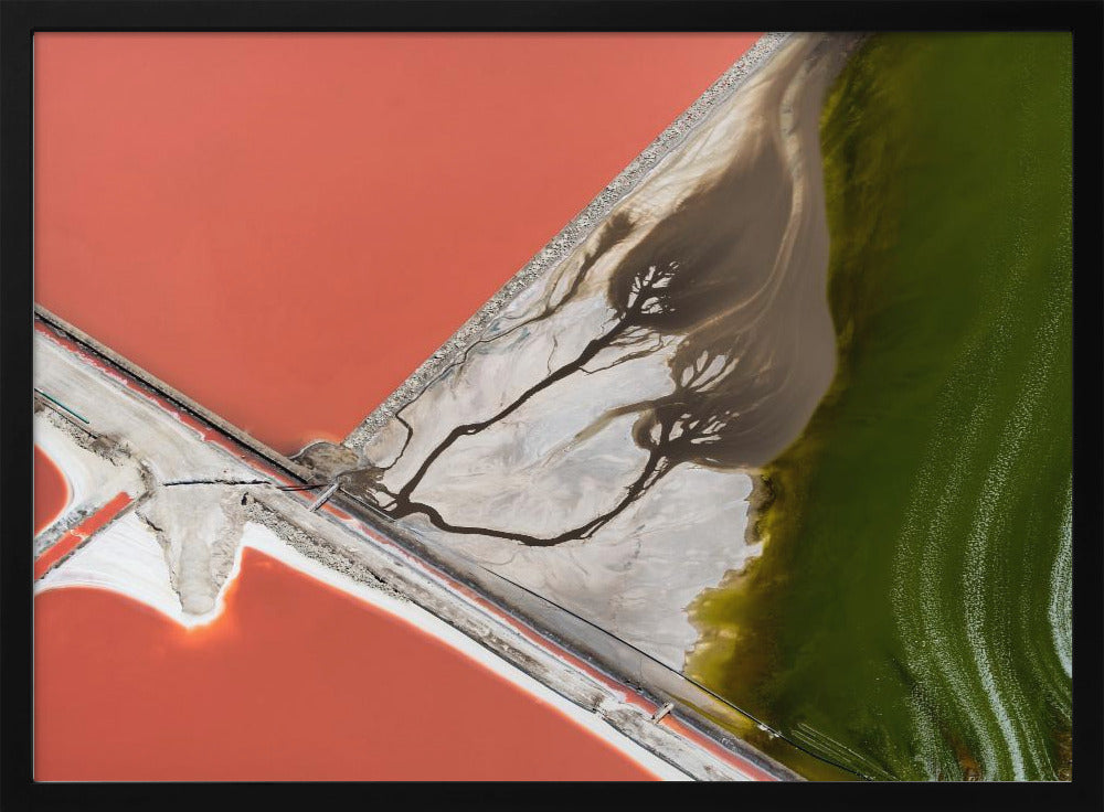 La pittura della natura | Poster - Stampe d’Arte