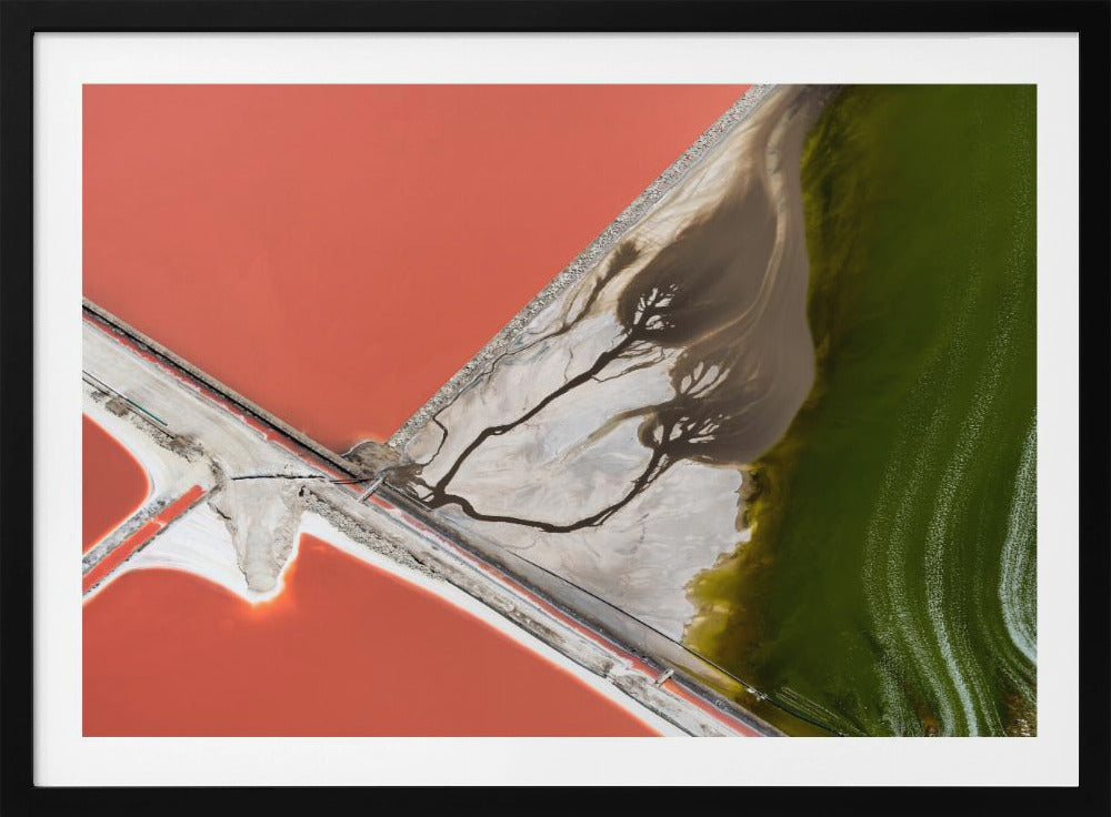 La pittura della natura | Poster - Stampe d’Arte