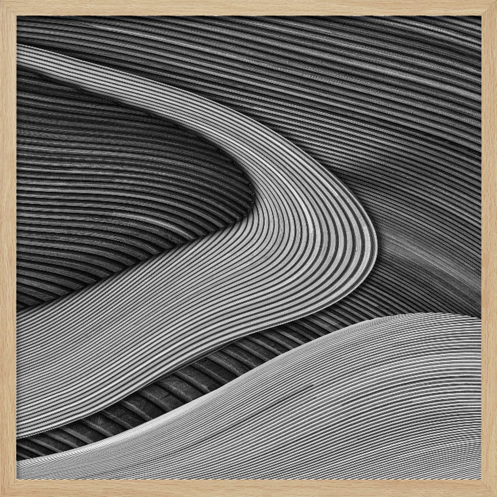 Träprojektet III - Zenträdgård | Poster