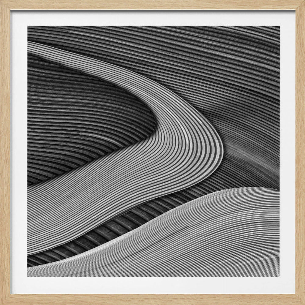 Träprojektet III - Zenträdgård | Poster