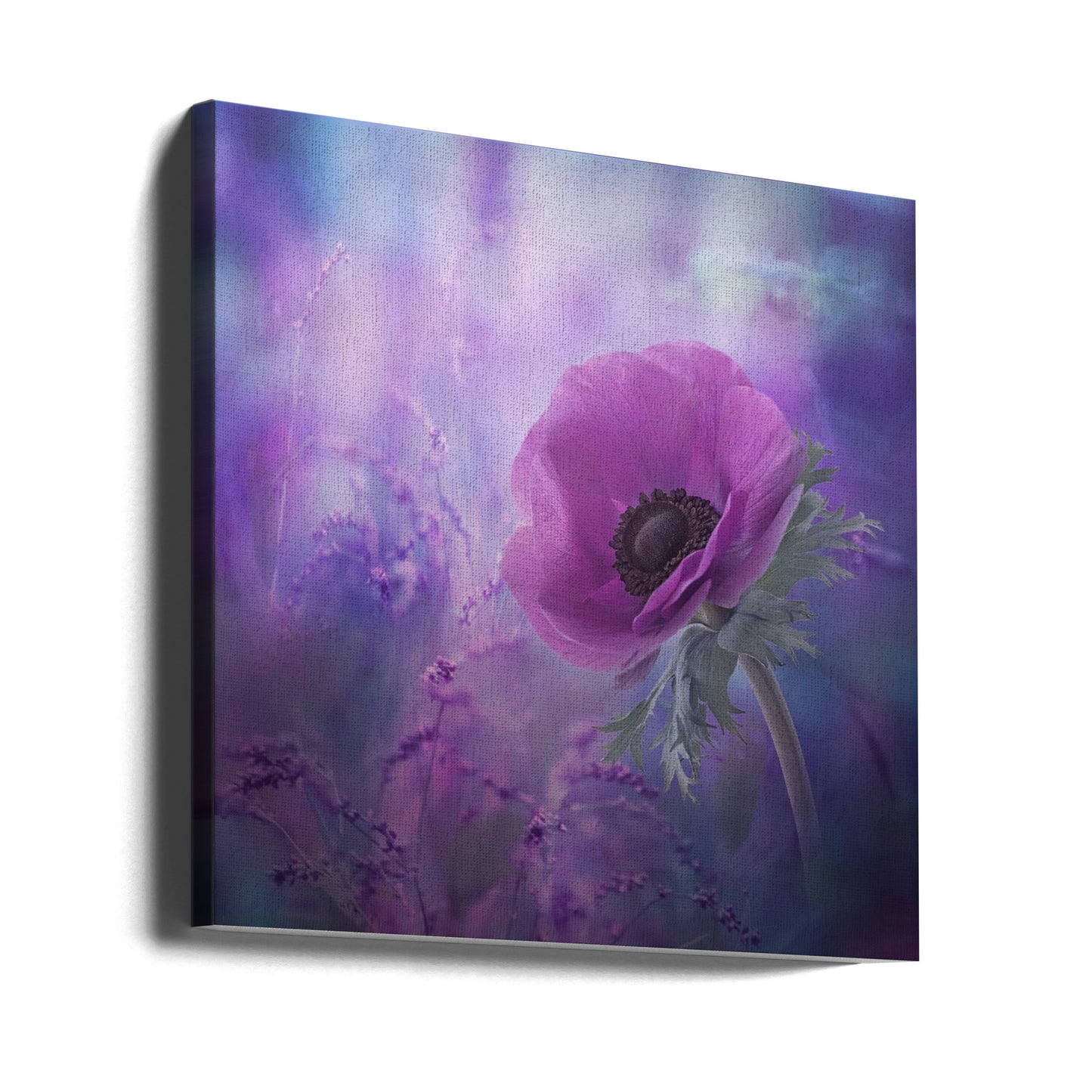Extas | Canvas