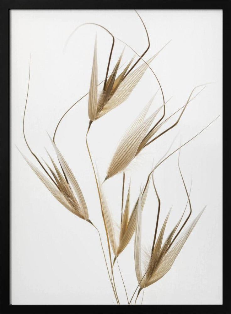 Naturens delikatesser | Poster