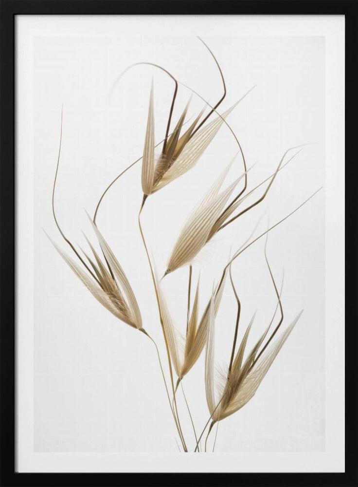 Naturens delikatesser | Poster