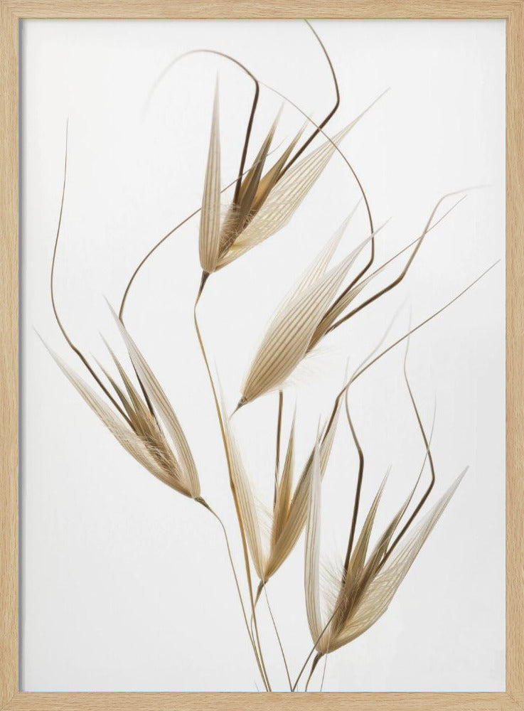 Naturens delikatesser | Poster