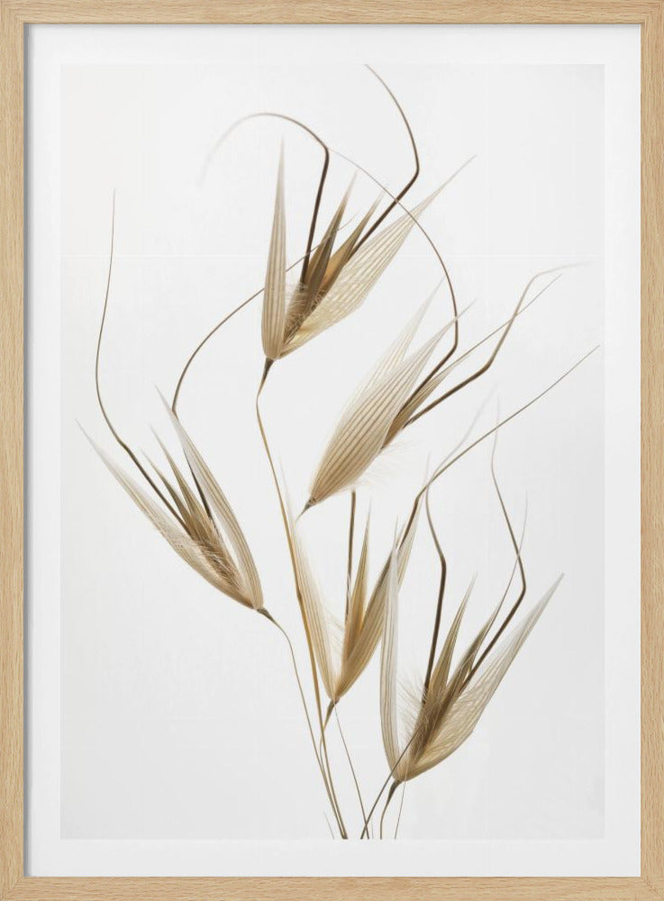 Naturens delikatesser | Poster