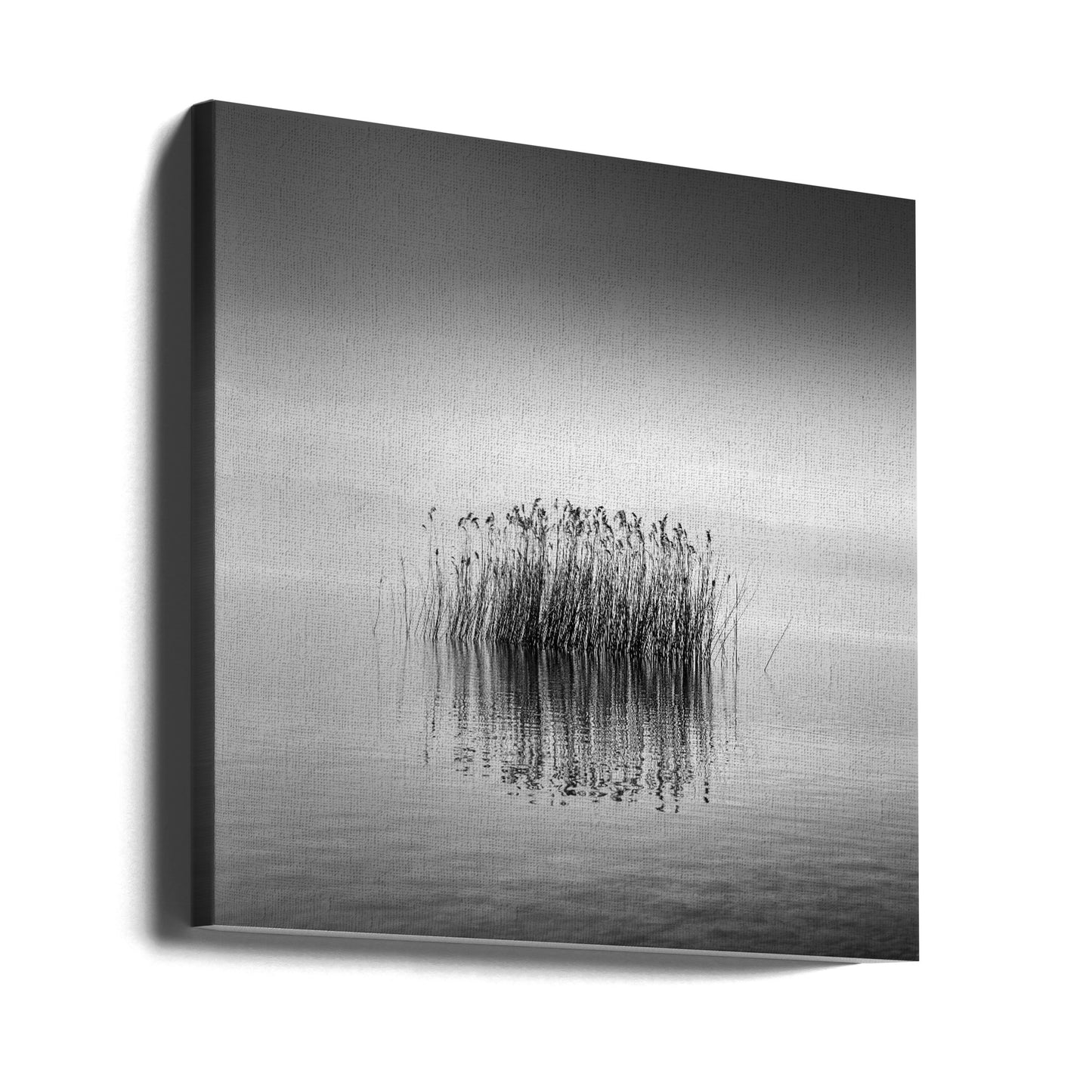 Black and White Silence | Canvas