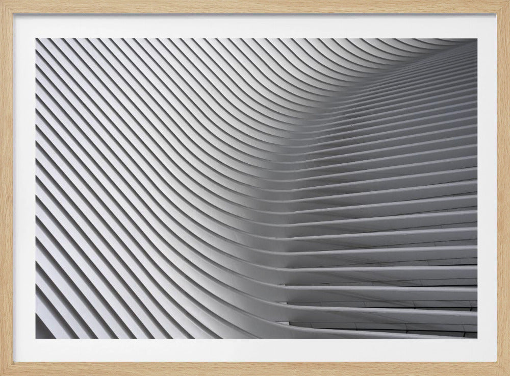 Calatrava-kurvorna #2 | Poster