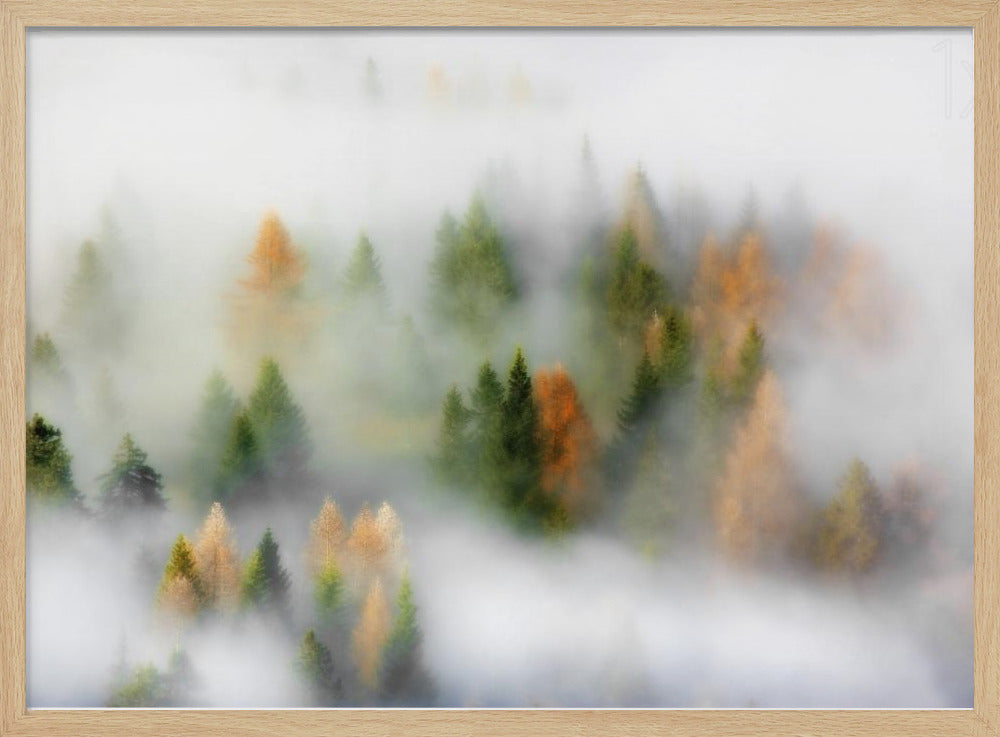 Höstdröm | Poster