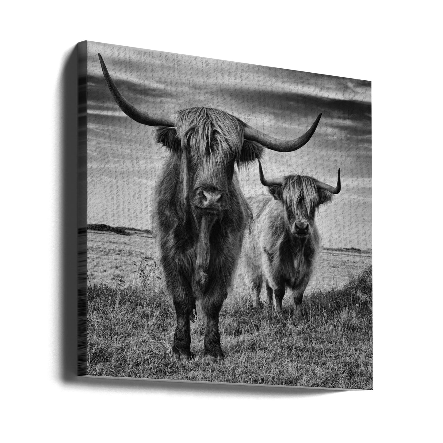 Höglandet | Canvas