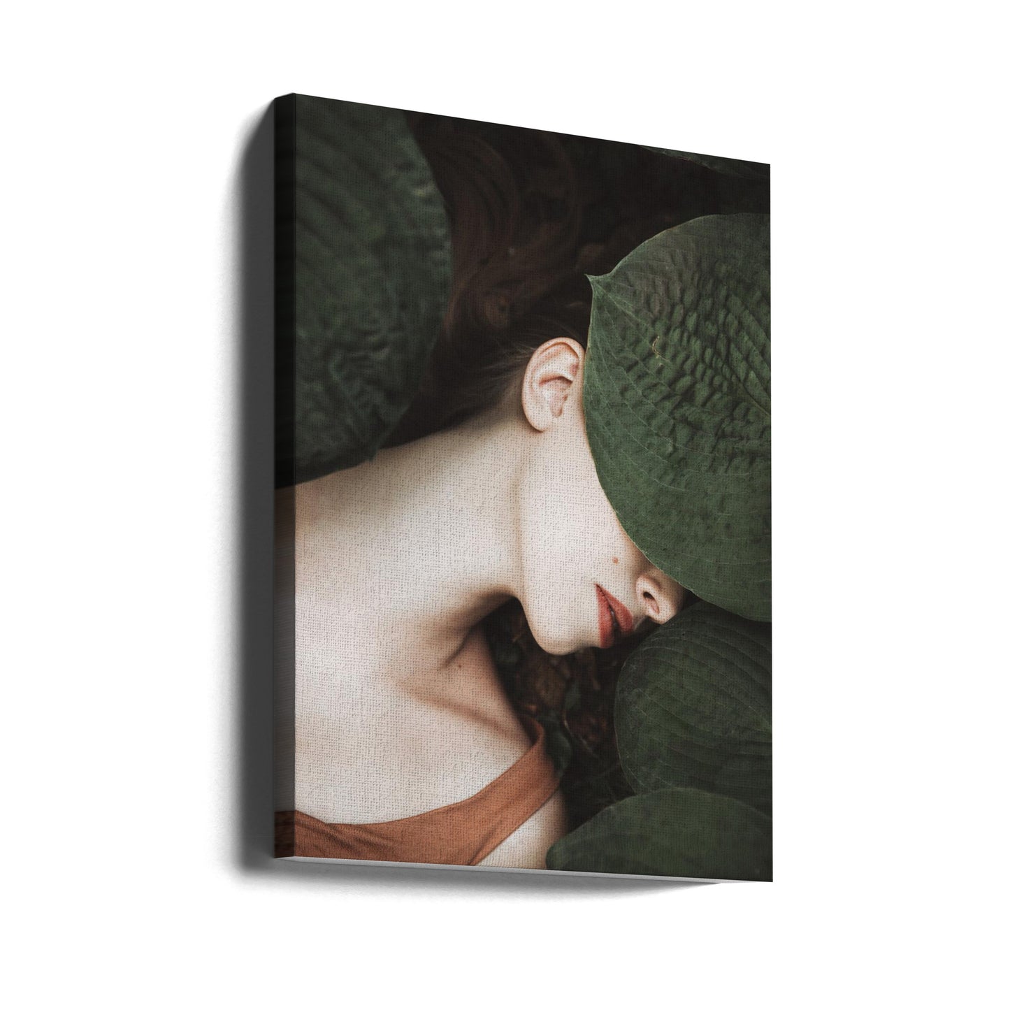 Var | Canvas