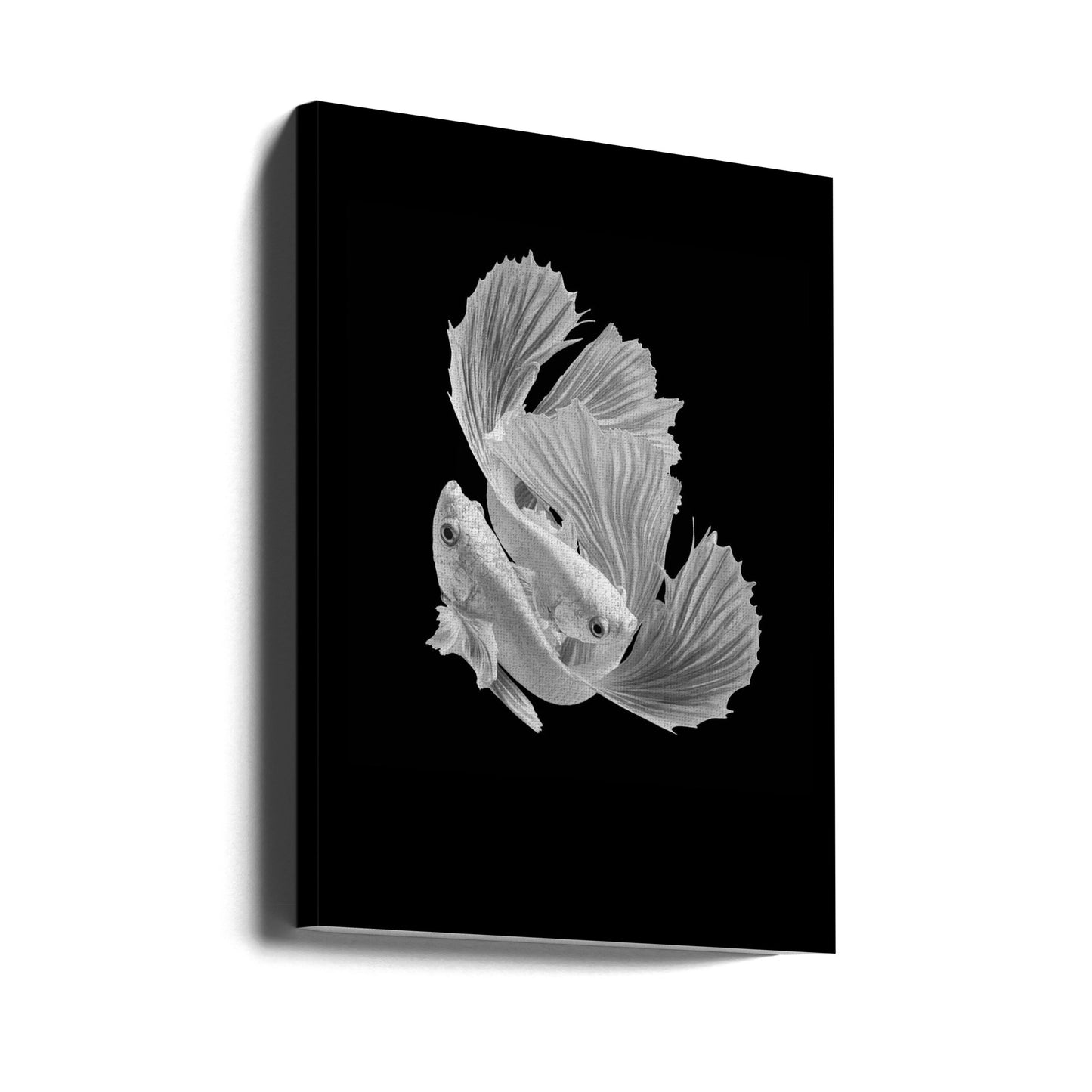 White Love | Canvas