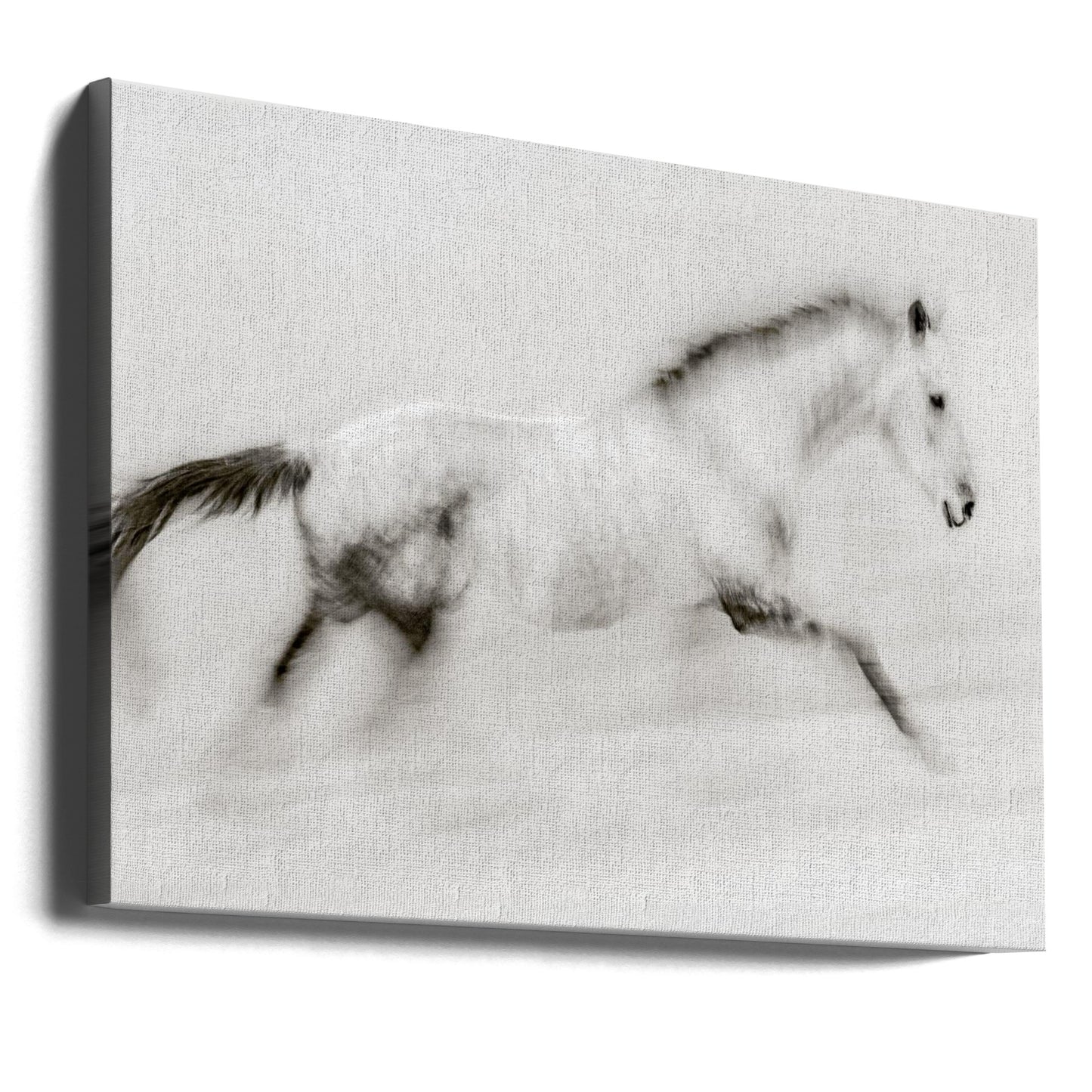 Det unika penseldraget | Canvas