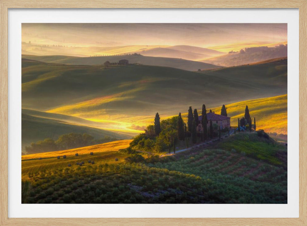 Av grönt och guld | Poster