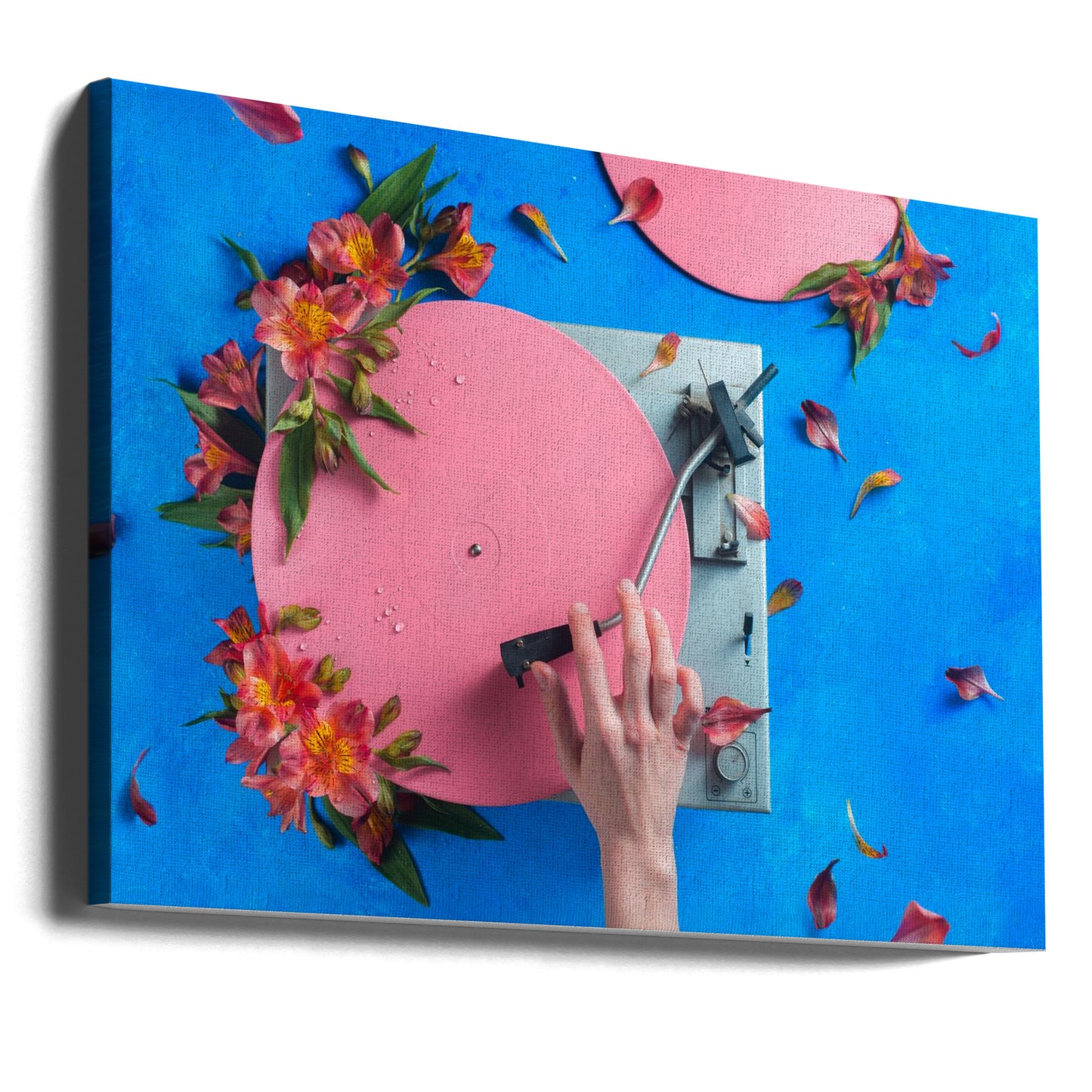 Vårrekord | Canvas