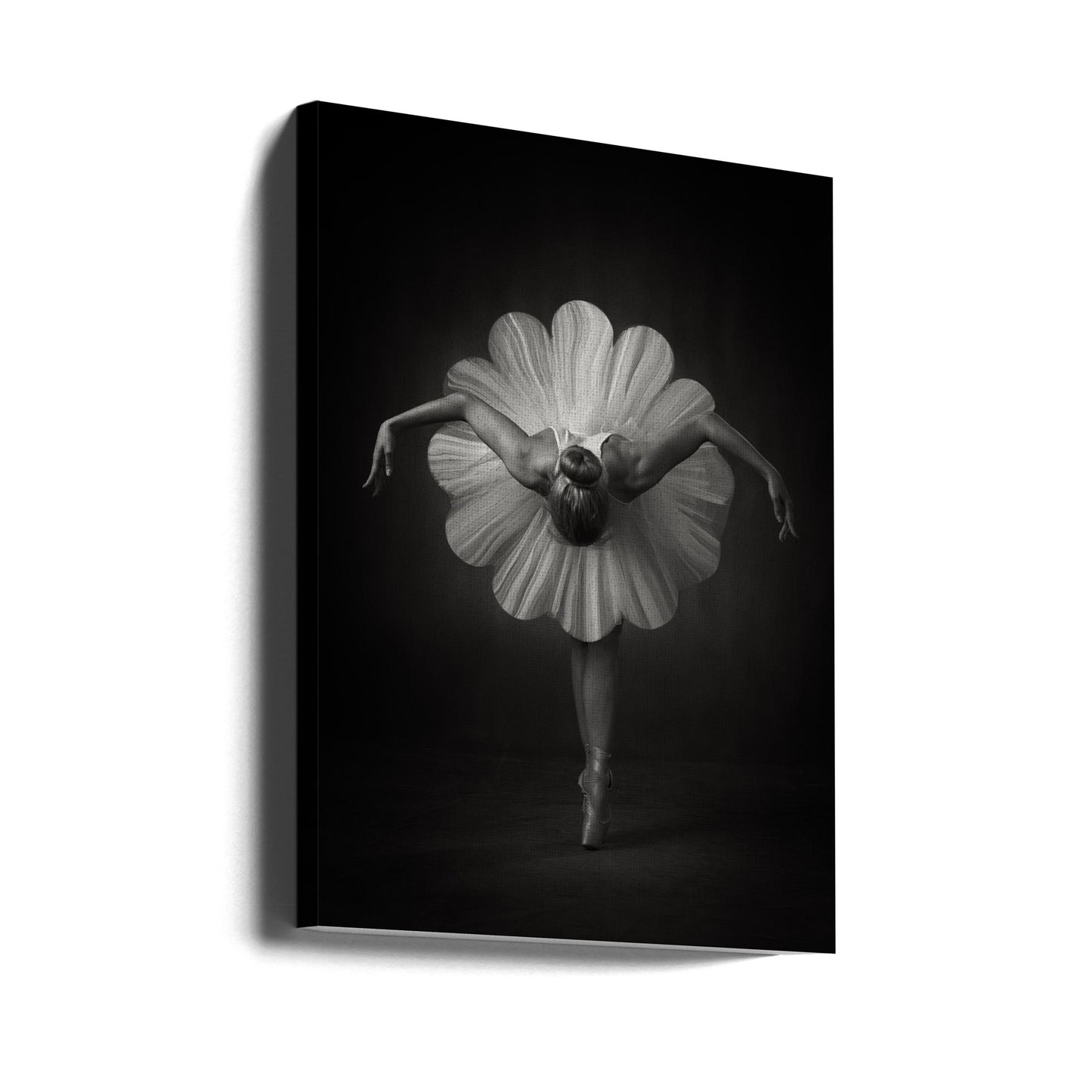 Ballet floral | Tableaux sur Toile