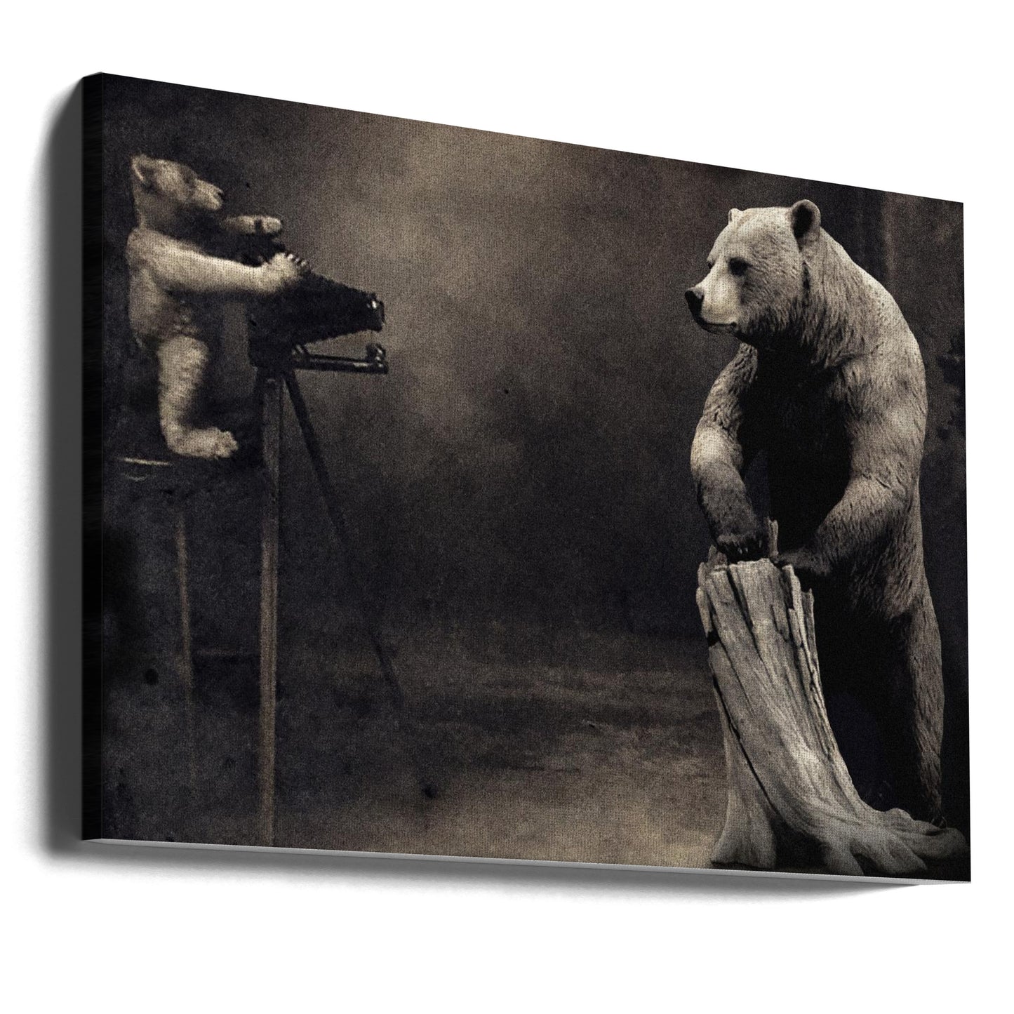 håll det där | Canvas