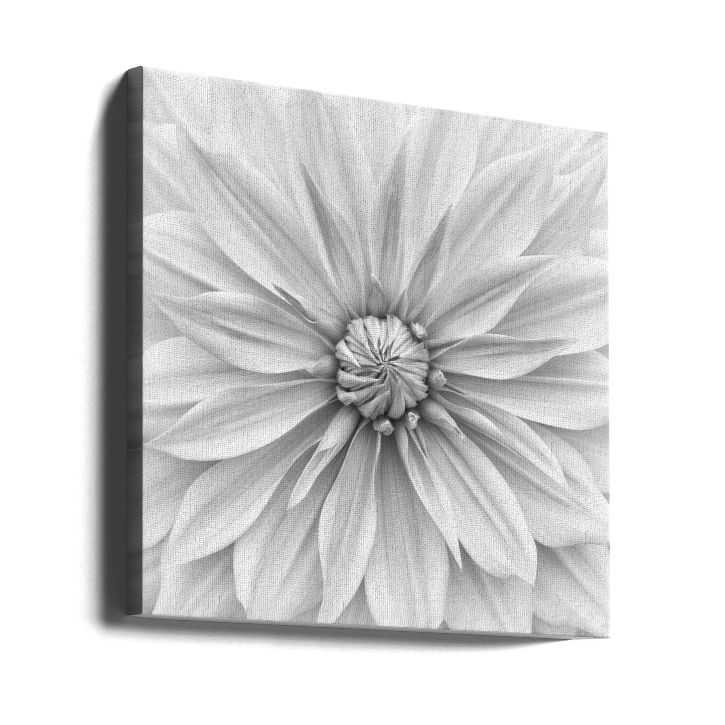 Hamari guld i monokrom | Canvas
