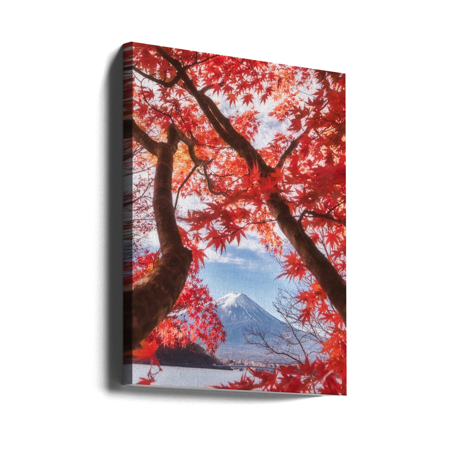 Der Fuji ist im Herbstlaub gehalten | Leinwand-Bilder