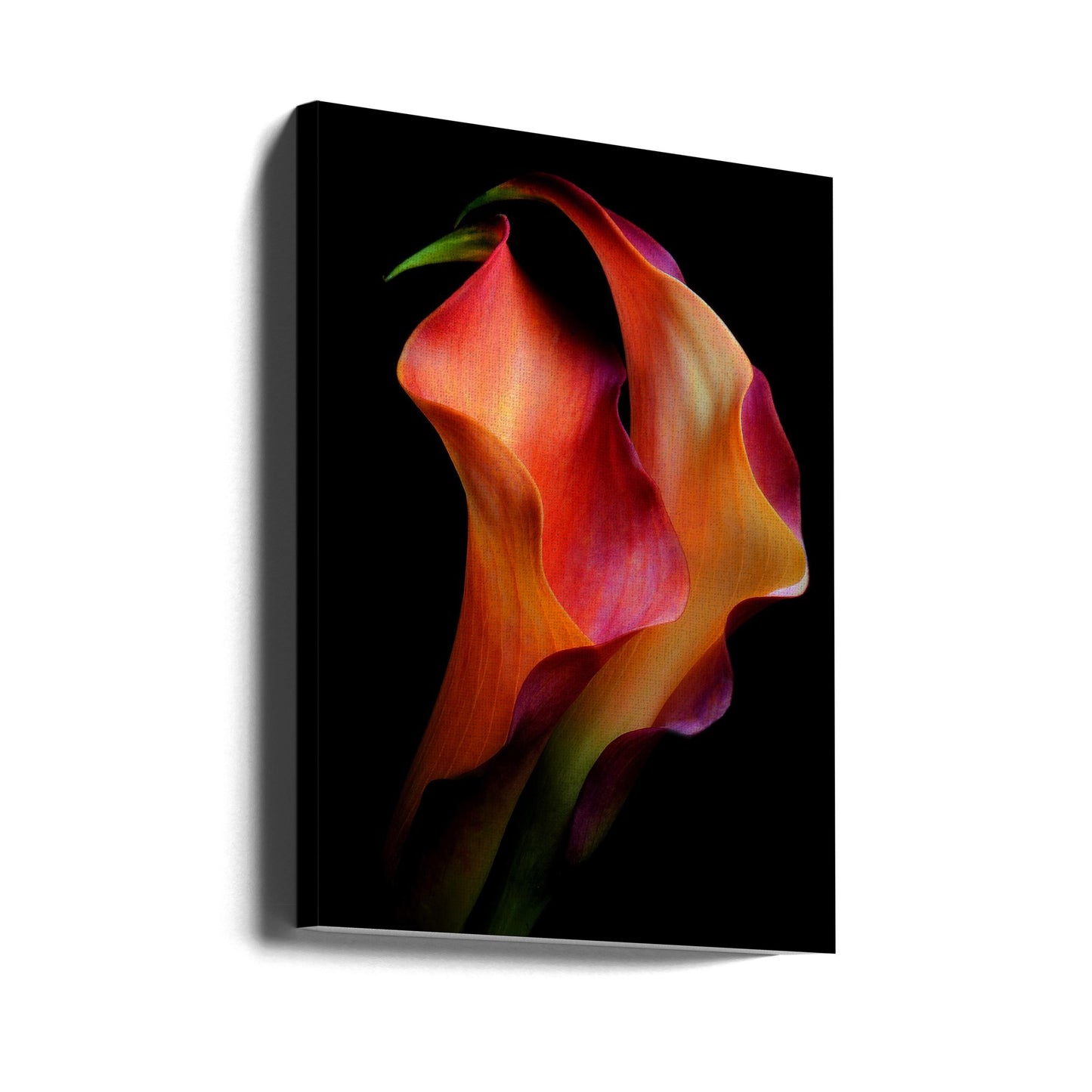 Ömhet | Canvas