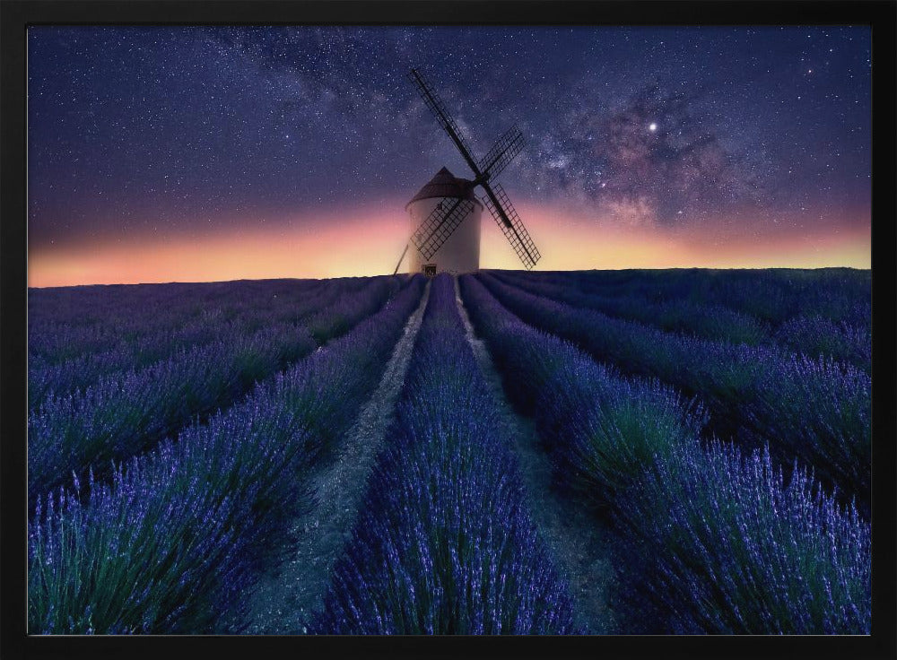Lavender night | Poster