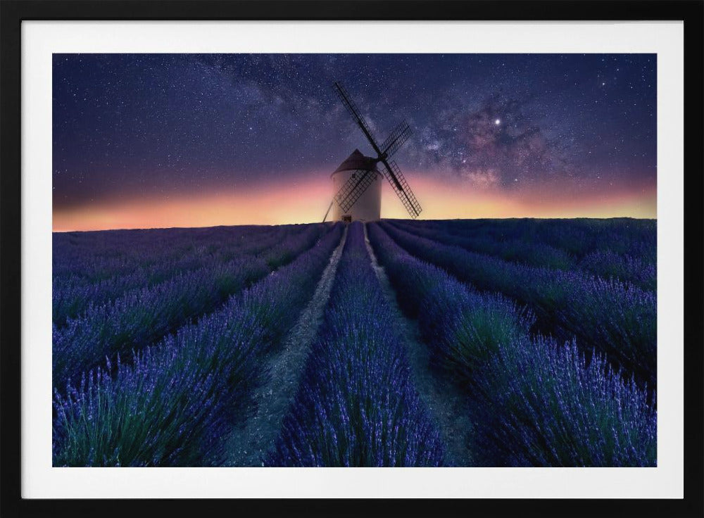 Lavender night | Poster