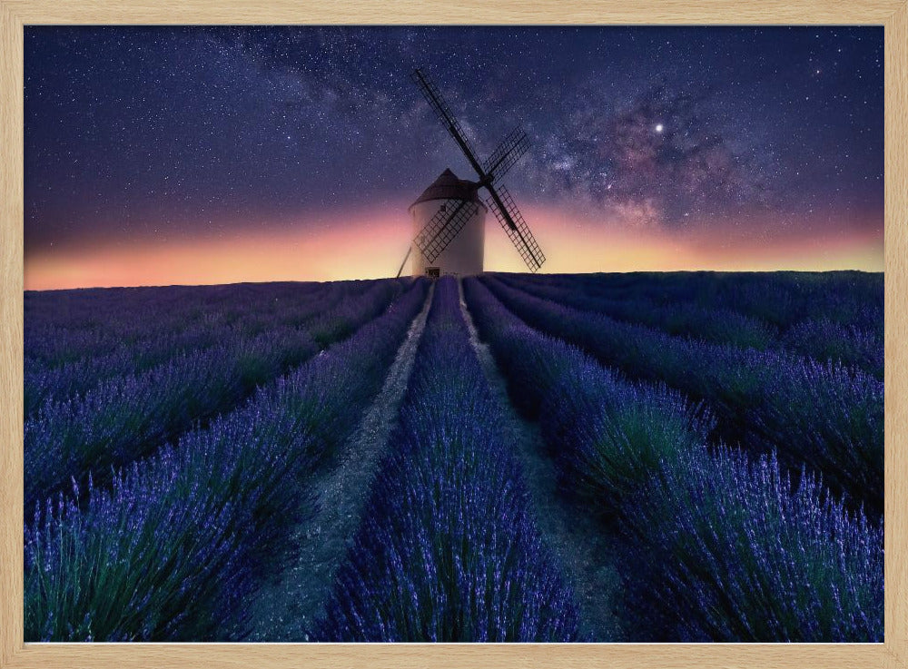 Lavender night | Poster