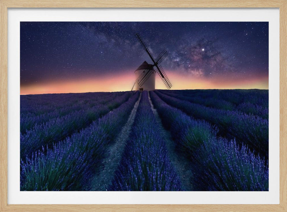 Lavender night | Poster