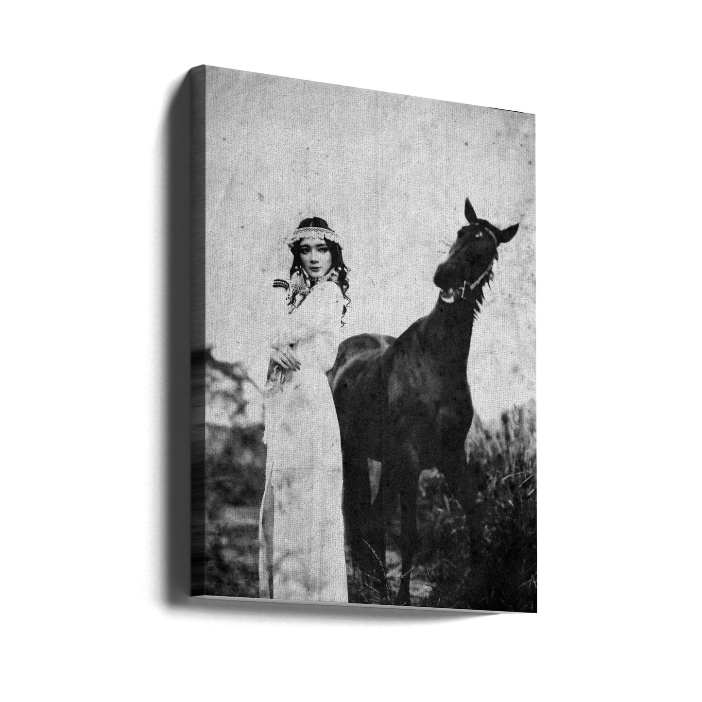 napelu | Canvas