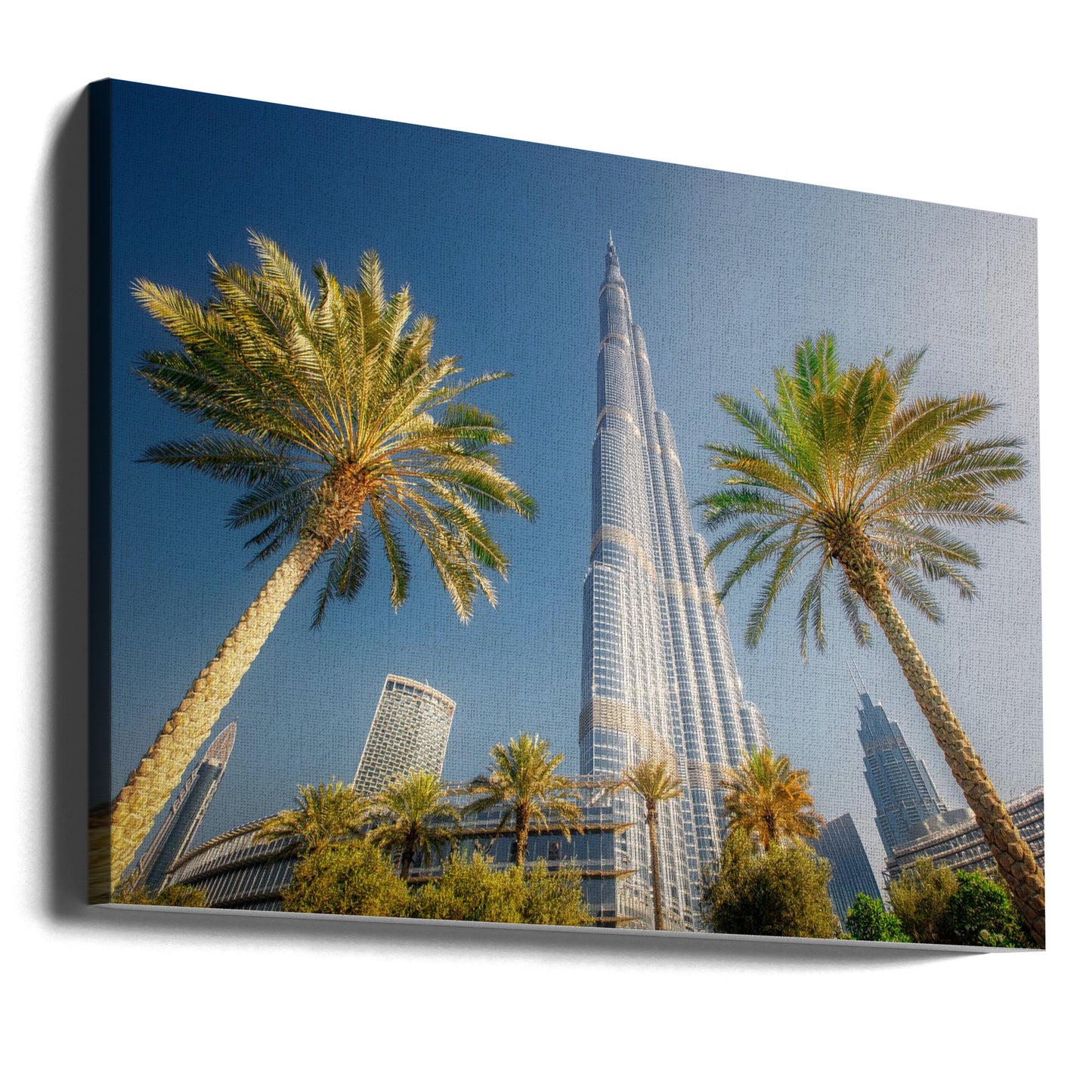 Born to touch the sky | Canvas