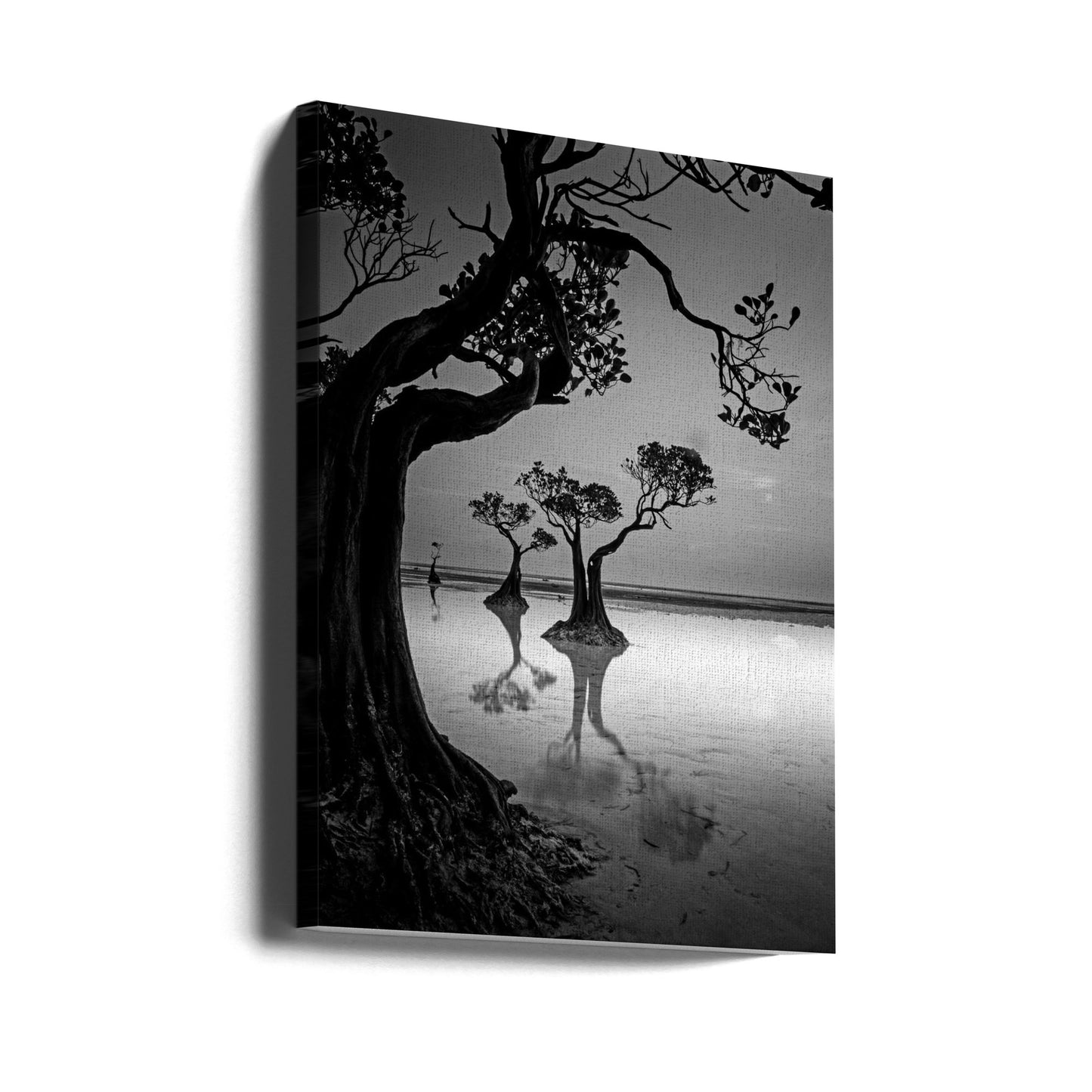 Framing | Canvas