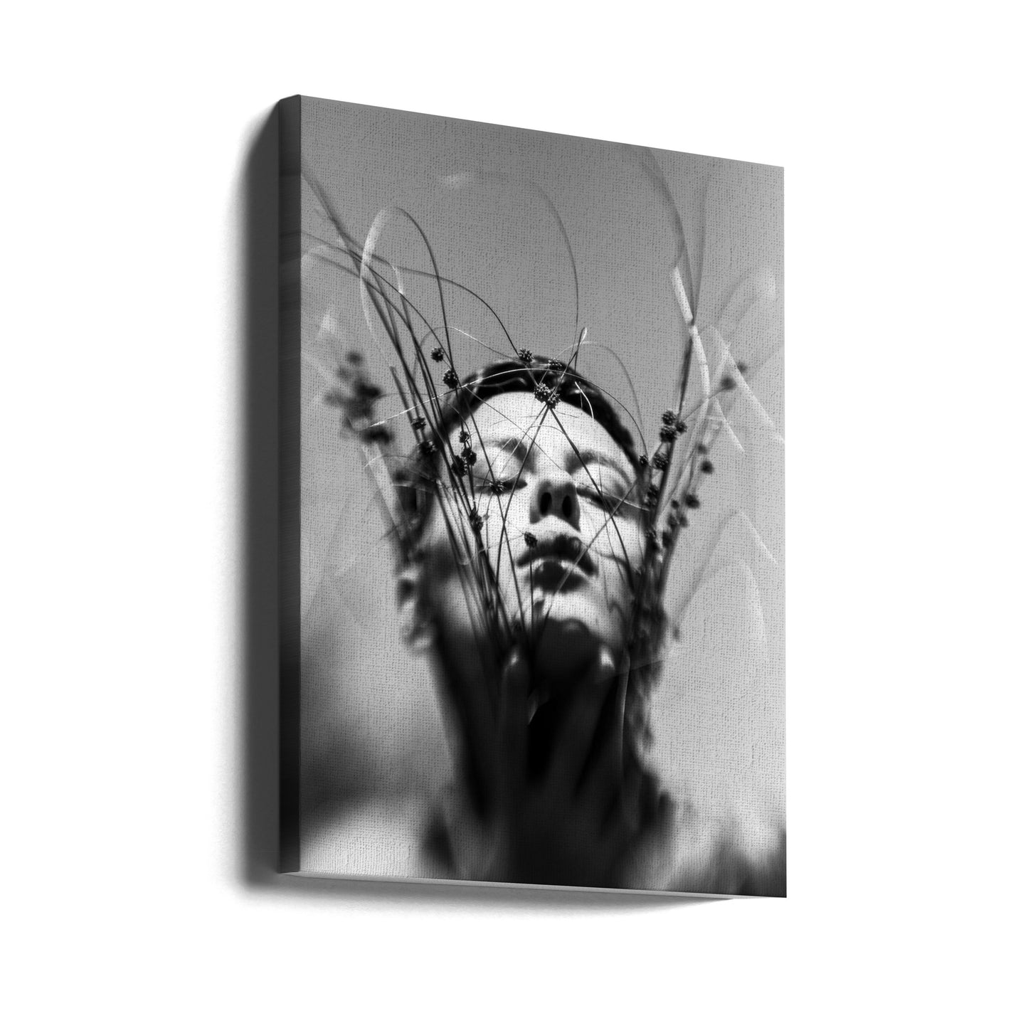 Untitled | Canvas