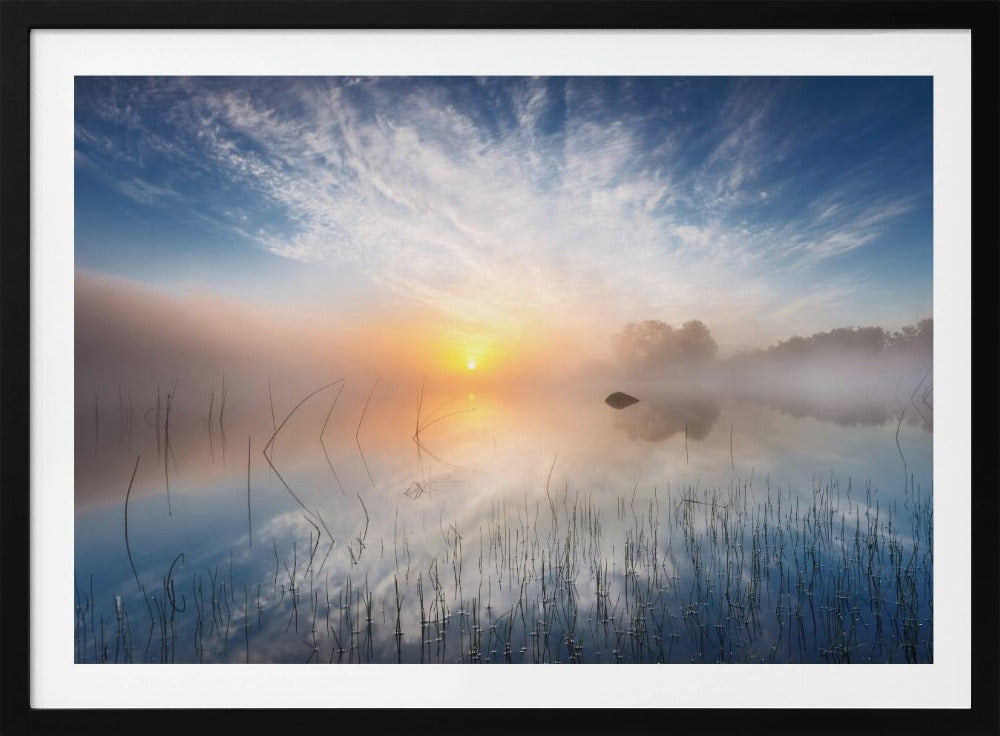 Reflektion | Poster