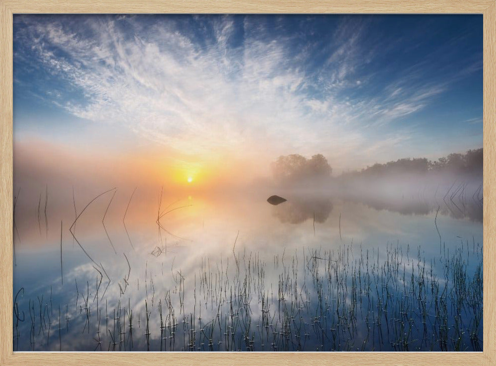 Reflektion | Poster