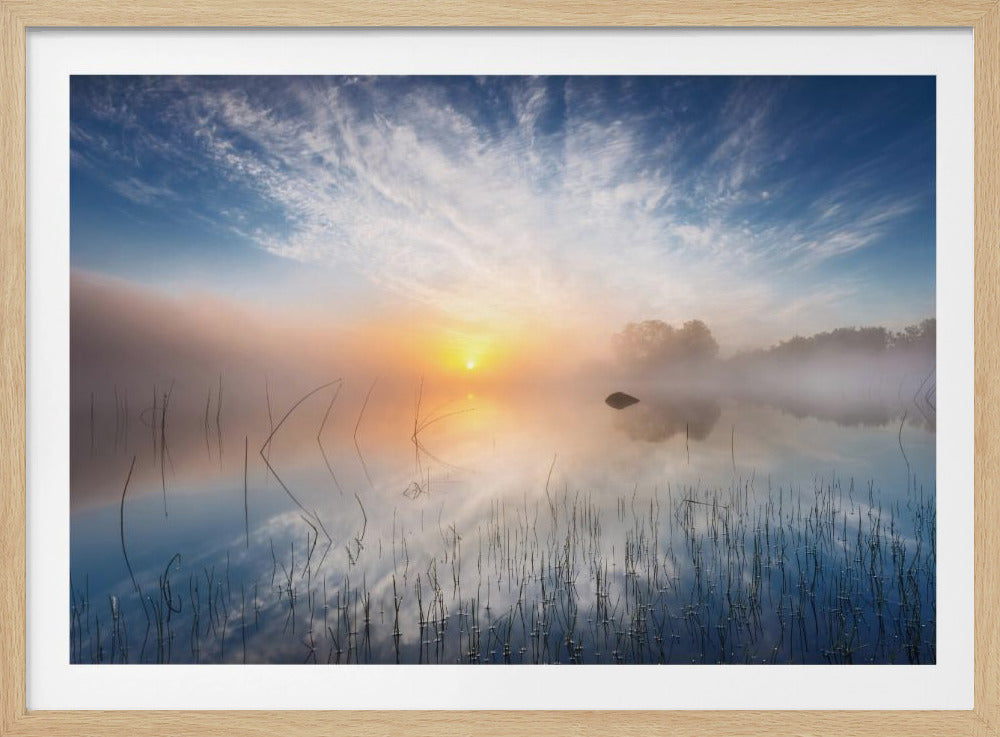 Reflektion | Poster