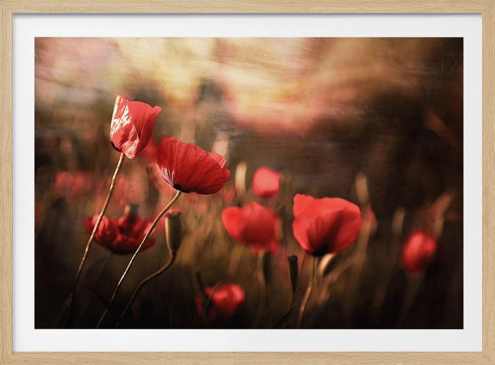 morgonluft | Poster